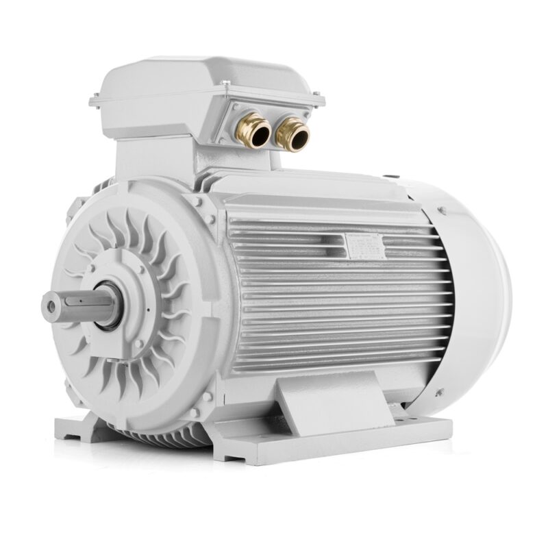 Elektrisk motor 110kW 2900 rpm IE3, 400V/690V 3LC VYBO Electric På lager